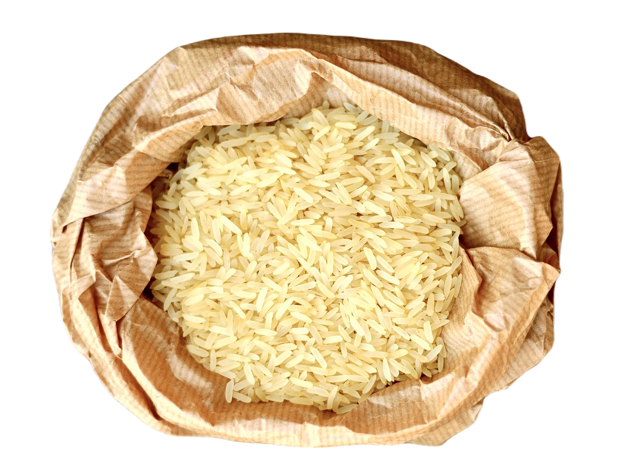 Syke Rice SKY & SON'S